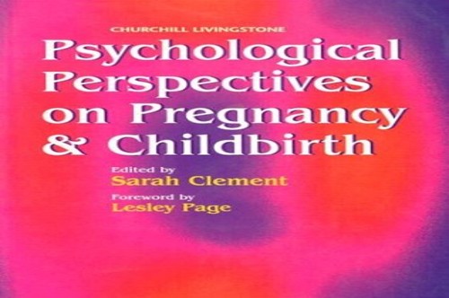 Psychological Perspectives on Pregnancy and Childbirth by Sarah Clement Bsc Cpsychol ISBN 9780443057601