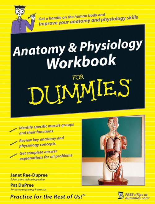 Anatomy and Physiology Workbook For Dummies by Janet Rae-Dupree ISBN 9780470169322