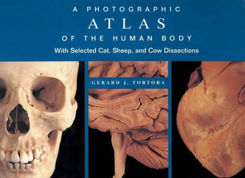 A Photographic Atlas of the Human Body by Gerard J Tortora ISBN 9780471374879