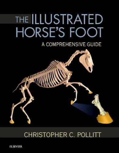 The Illustrated Horse's Foot by Christopher C Pollitt Bvsc 9780702046551