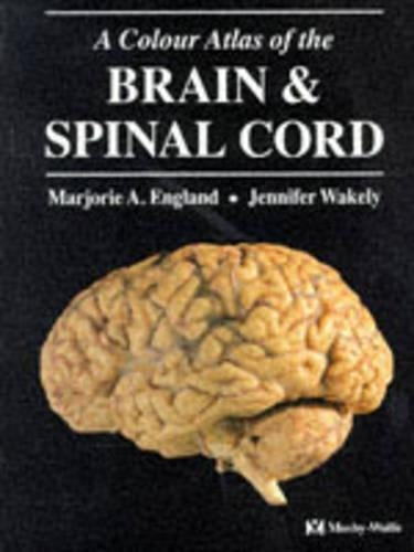 A Colour Atlas of Brain and Spinal Cord by Marjorie A England 9780723416968