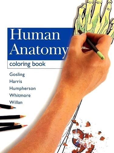 Human Anatomy Coloring Book 9780723429197