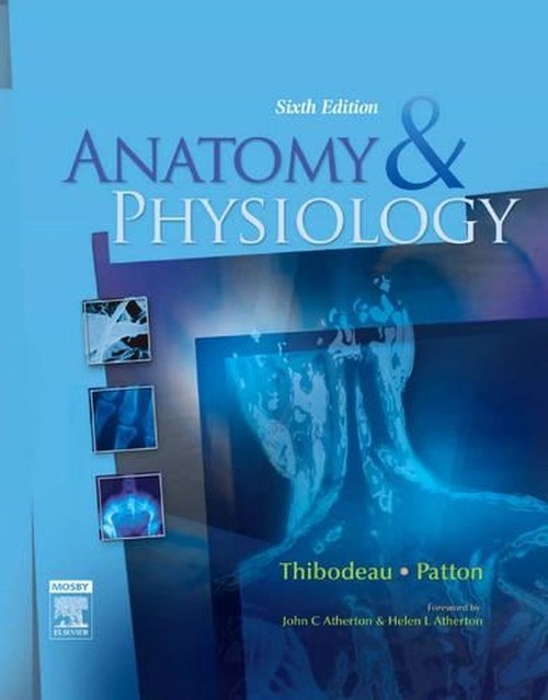 Anatomy and Physiology by Gary A Thibodeau 9780723434481