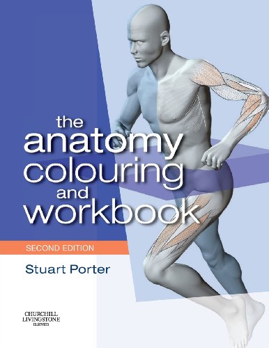 The Anatomy Colouring and Workbook by Stuart Porter Certmhs Sfhea Mlacp Mcsp Hcpc ISBN 9780750675413