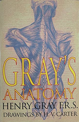 Anatomy by Henry Gray