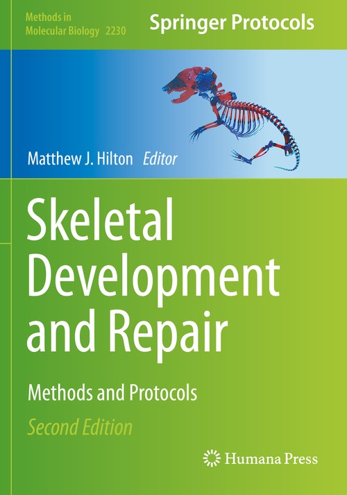 Skeletal Development and Repair by Matthew J Hilton ISBN 9781071610305