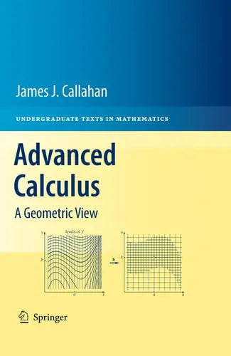 Advanced Calculus A Geometric View by James J. Callahan ISBN: 978-1441973313 - front cover