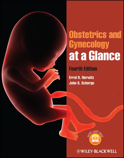 Obstetrics and Gynecology at a Glance by Errol R Norwitz ISBN 9781118341735