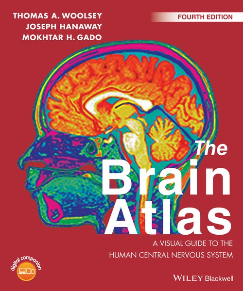The Brain Atlas by Thomas A Woolsey ISBN 9781118438770