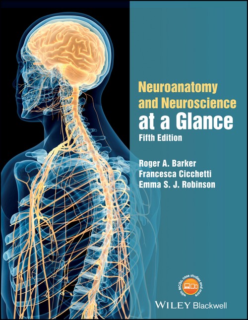 Neuroanatomy and Neuroscience at a Glance by Roger A Barker ISBN 9781119168416