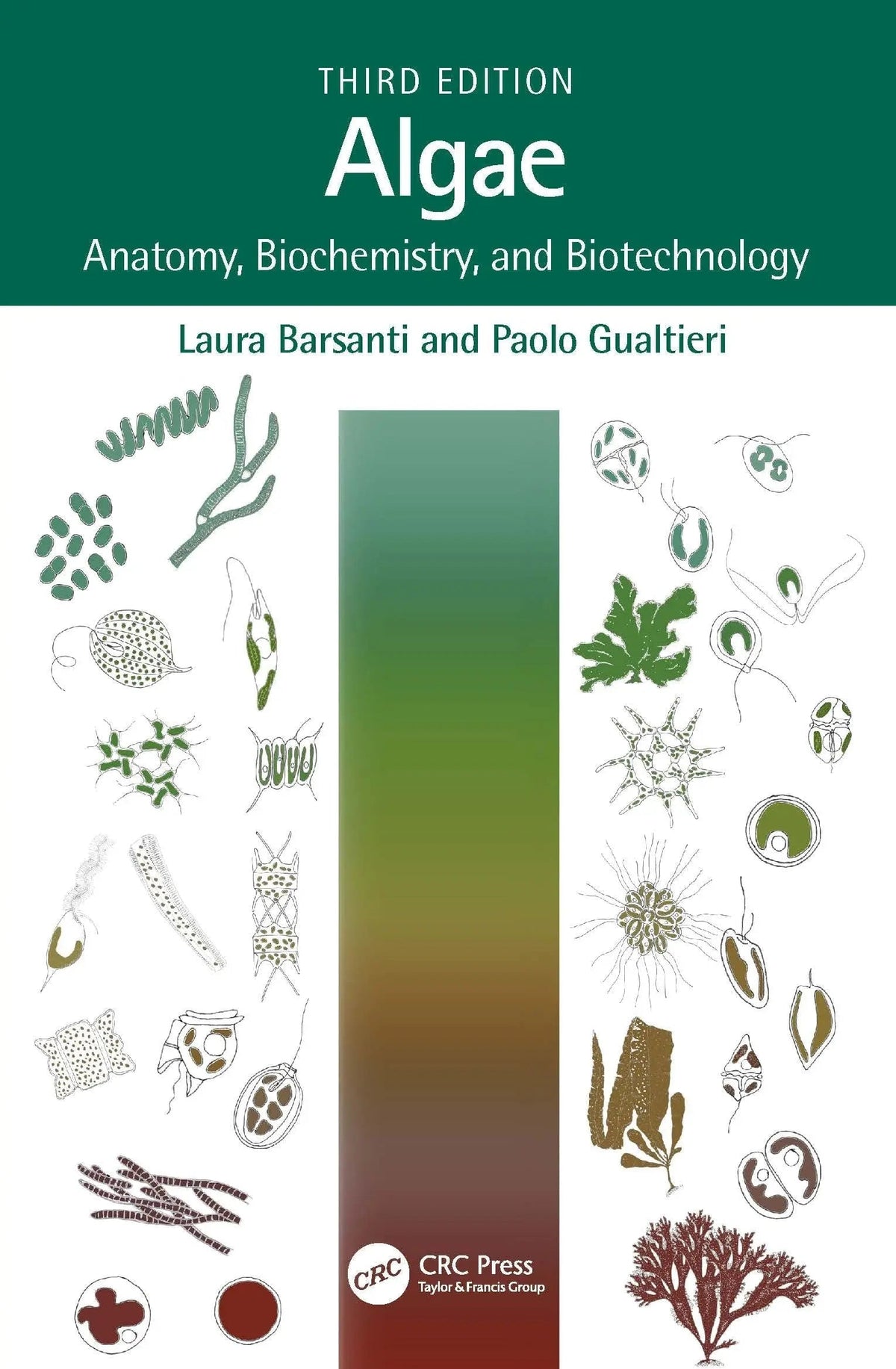 Algae Anatomy, Biochemistry, and Biotechnology by Laura Barsanti 3rd Edition ISBN 9781032035123 - front cover