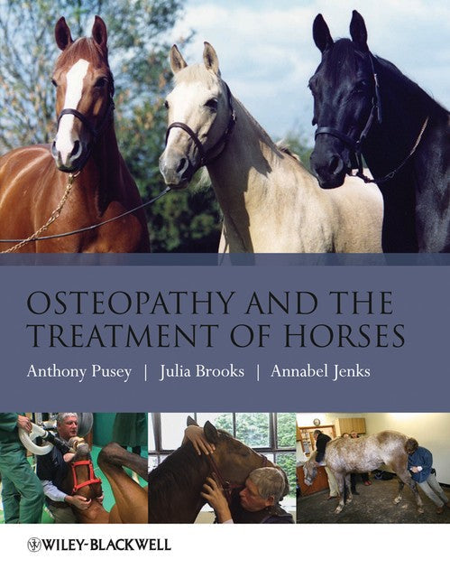 Osteopathy and the Treatment of Horses by Anthony Pusey ISBN 9781405169523