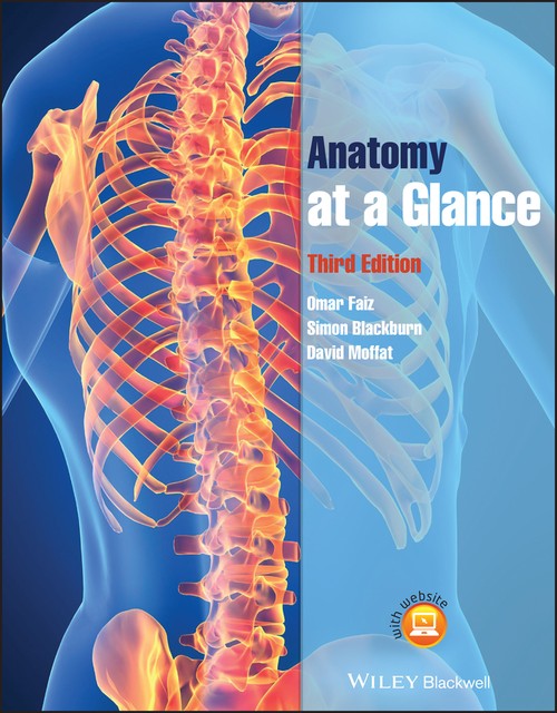 Anatomy at a Glance by Omar Faiz ISBN 9781444336092