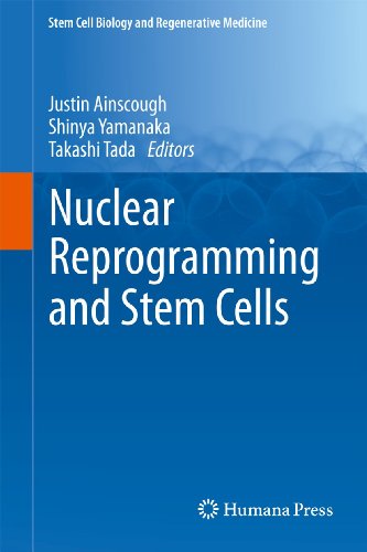 Nuclear Reprogramming and Stem Cells by Justin Ainscough ISBN 9781627039048