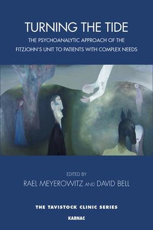 Turning the Tide by Rael Meyerowitz ISBN 9781782203322