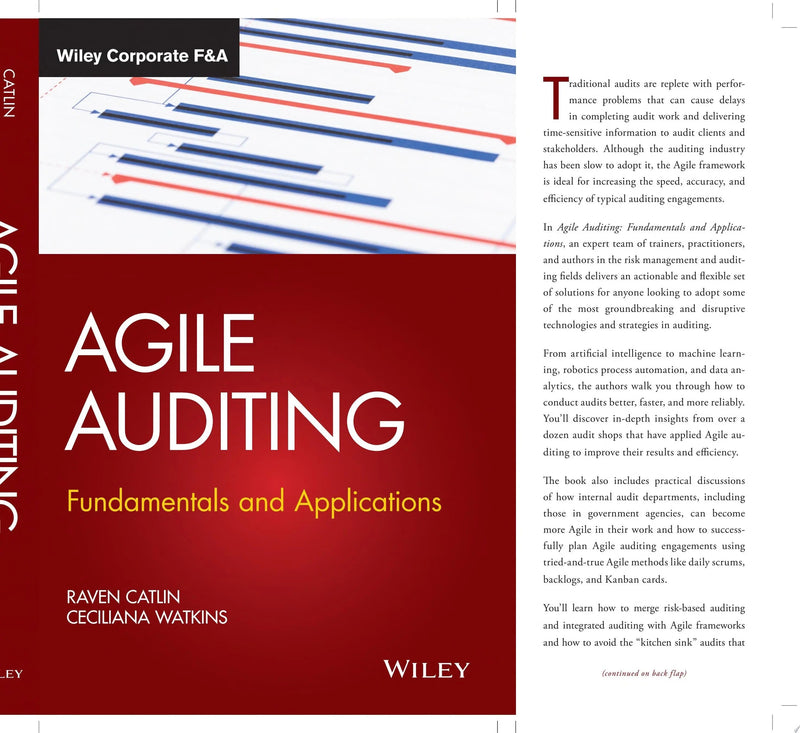 Agile Auditing Fundamentals and Applications by Raven Catlin 1st Edition