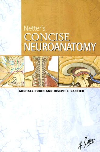 Netter's Concise Neuroanatomy by Michael Rubin Md Frcp ISBN 9781933247229
