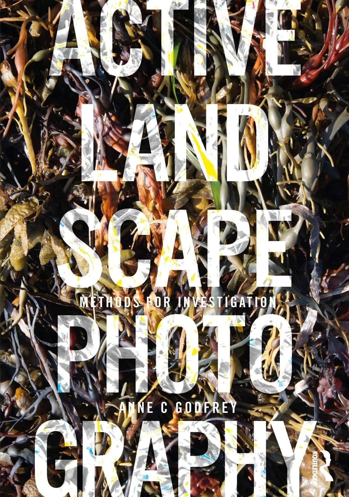 Active Landscape Photography Methods for Investigation by Anne Godfrey 1st Edition - front cover