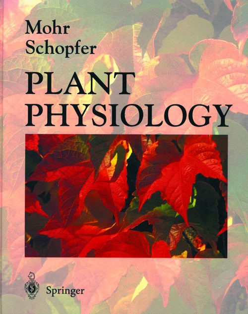 Plant Physiology by Hans Mohr ISBN 9783540580164