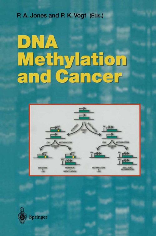 DNA Methylation and Cancer by Pa Jones | ISBN-13 9783642640902
