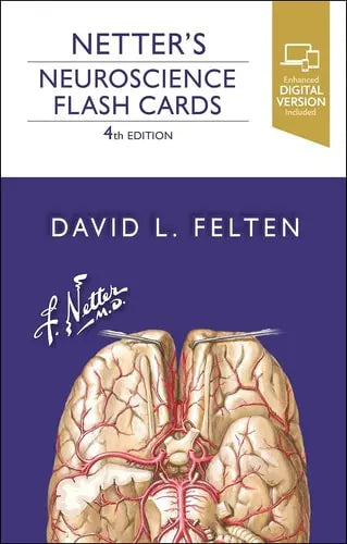 Netter's Neuroscience Flash Cards by David L. Felten 4th Edition ISBN 9780323756433