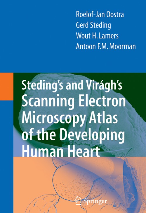 Steding's and Viragh's Scanning Electron Microscopy Atlas of the Developing Human Heart by Rj Oostra ISBN 9780387369426