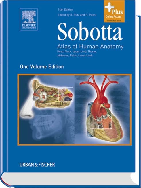 Sobotta - Atlas of Human Anatomy one volume edition by Reinhard Putz 9780702033230