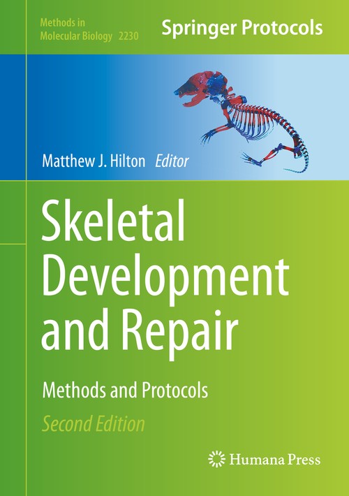Skeletal Development and Repair by Matthew J Hilton ISBN 9781071610275