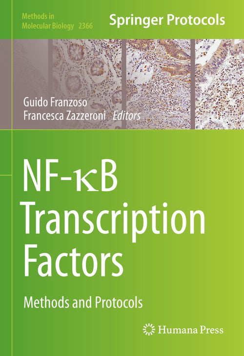 NF-κB Transcription Factors by Guido Franzoso ISBN 9781071616680