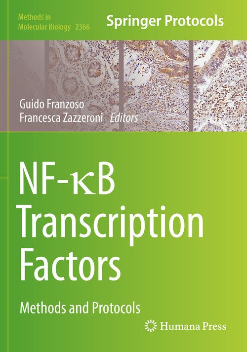NF-B Transcription Factors by Guido Franzoso ISBN 9781071616710