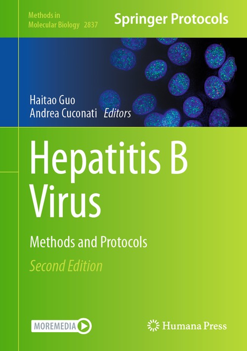 Hepatitis B Virus by Haitao Guo ISBN 9781071640265