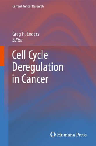 Cell Cycle Deregulation in Cancer by Greg H Enders ISBN 9781461425694