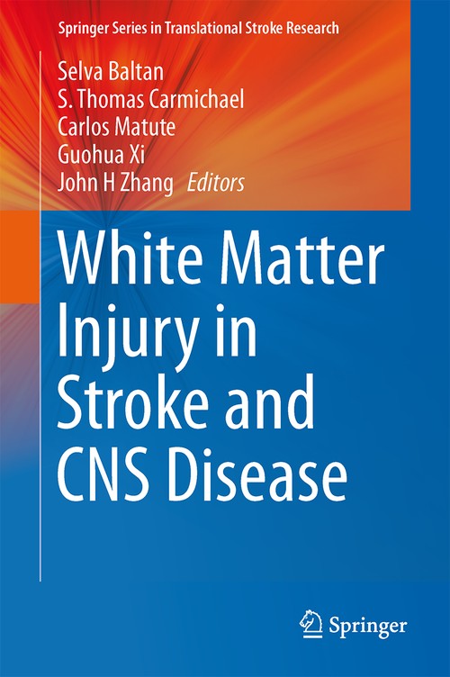 White Matter Injury in Stroke and CNS Disease by Selva Baltan ISBN 9781461491224