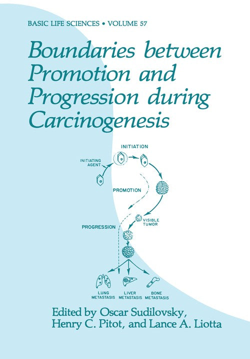 Boundaries between Promotion and Progression during Carcinogenesis by Oscar Sudilovsky ISBN 9781468459968