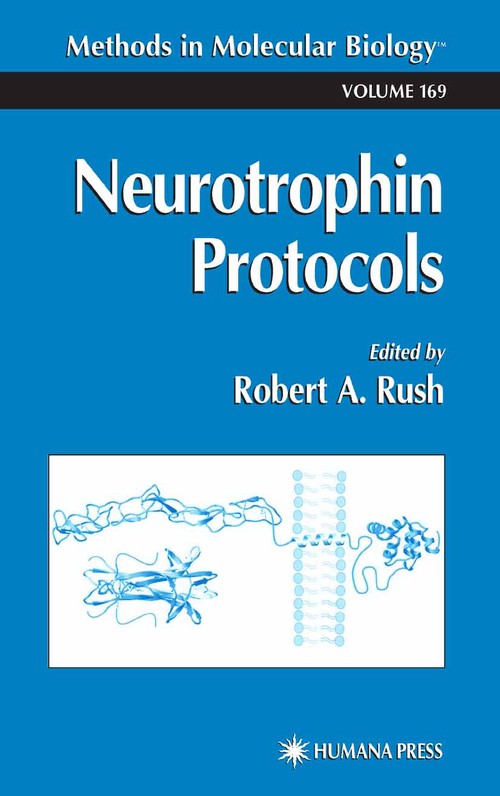 Neurotrophin Protocols by Robert A Rush ISBN 9781489939838