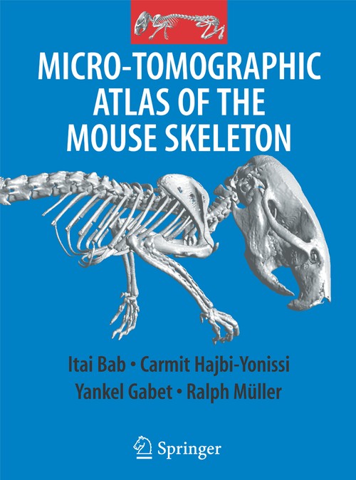 Micro-Tomographic Atlas of the Mouse Skeleton by Itai A Bab ISBN 9781489978929