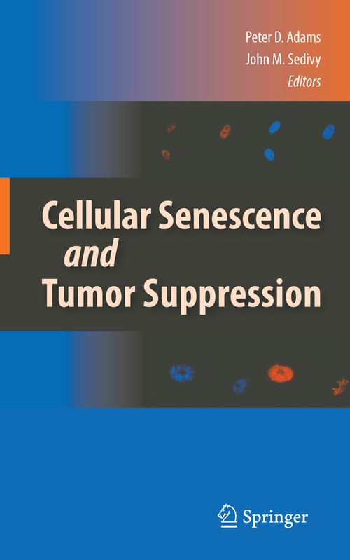 Cellular Senescence and Tumor Suppression by Peter D Adams ISBN 9781489983565