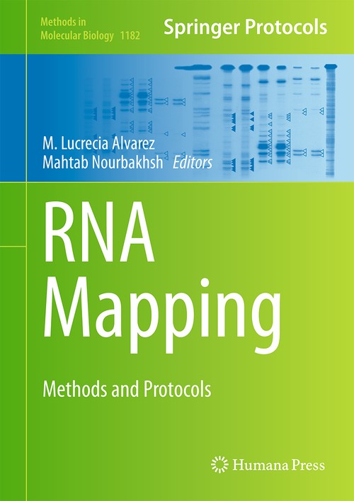 RNA Mapping by M Lucrecia Alvarez ISBN 9781493910618