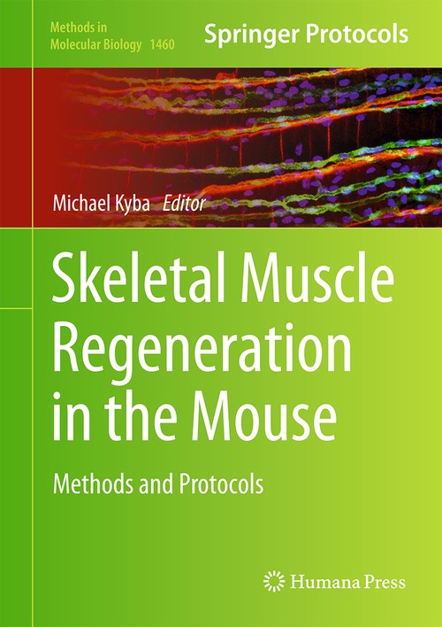 Skeletal Muscle Regeneration in the Mouse by Michael Kyba ISBN 9781493938087