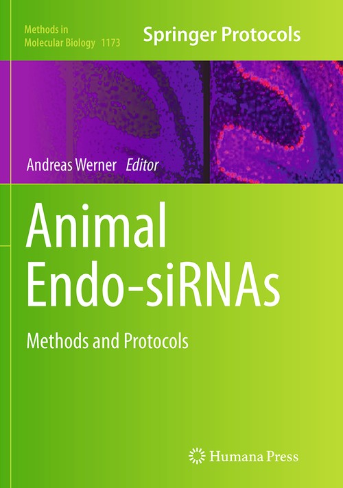 Animal Endo-SiRNAs by Andreas Werner ISBN 9781493941605