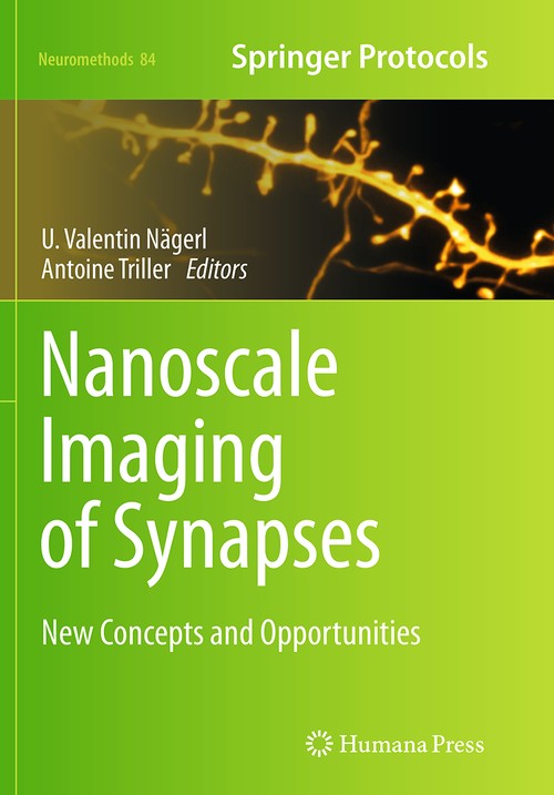 Nanoscale Imaging of Synapses by Antoine Triller 9781493949182