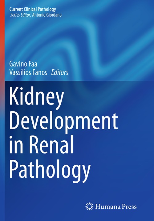 Kidney Development in Renal Pathology by Gavino Faa 9781493953127