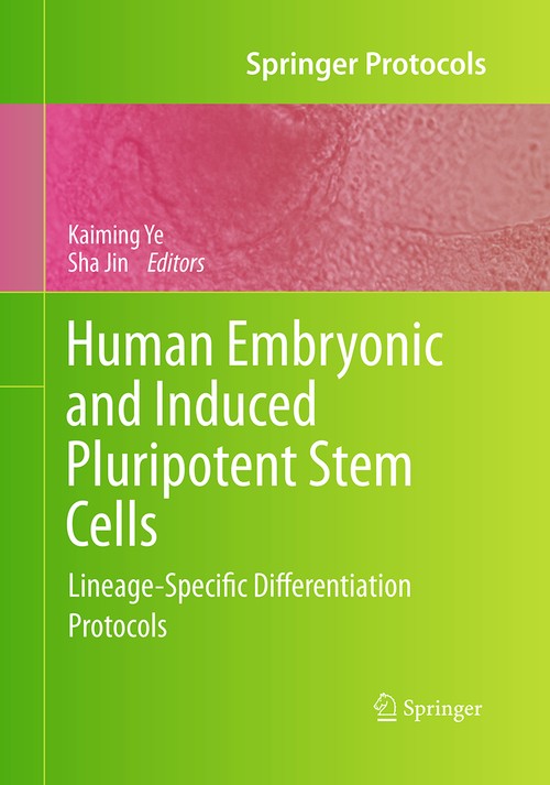 Human Embryonic and Induced Pluripotent Stem Cells by Kaiming Ye ISBN 9781493958931