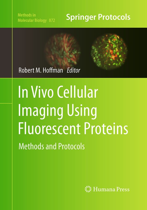 In Vivo Cellular Imaging Using Fluorescent Proteins by Robert Hoffman 9781493961498