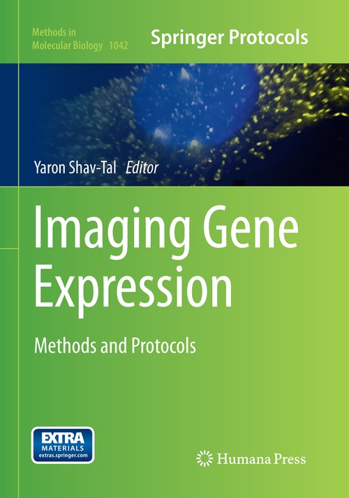Imaging Gene Expression by Yaron Shav-Tal 9781493963126