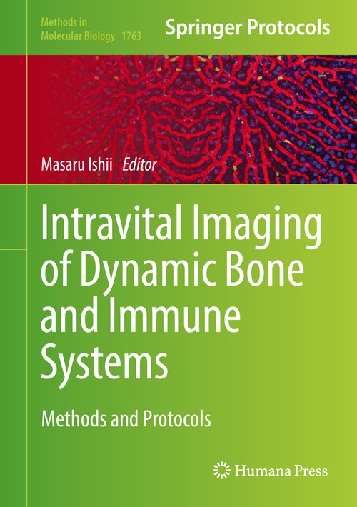 Intravital Imaging of Dynamic Bone and Immune Systems by Masaru Ishii 9781493977611