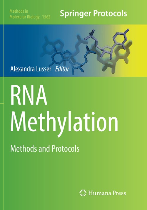 RNA Methylation by Alexandra Lusser ISBN 9781493983049