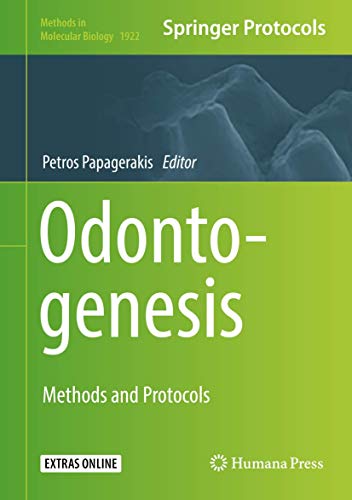 Odontogenesis by Petros Papagerakis 9781493990115
