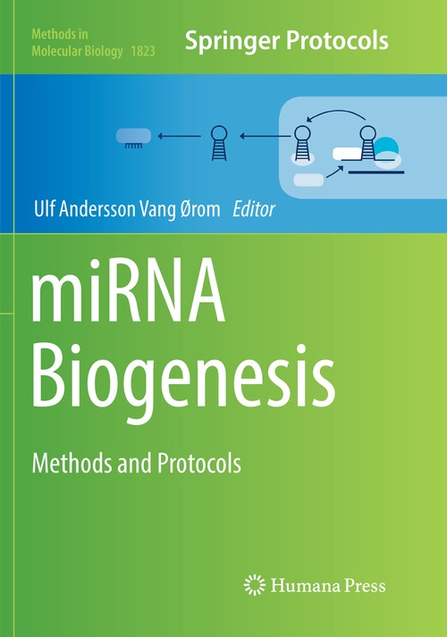 miRNA Biogenesis by Ulf Rom ISBN 9781493993451