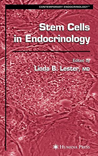 Stem Cells in Endocrinology by Linda B Lester
